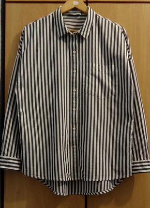 Cупер брендова сорочка блуза блузка бавовна р.44-48