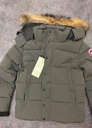 Canada goose puffer jacket grey