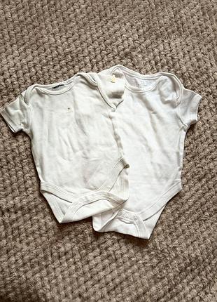 Бодіки на короткий рукав