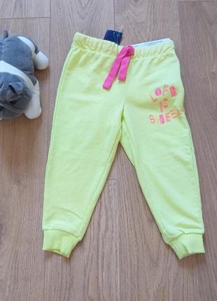 Спортивные брючки lupilu