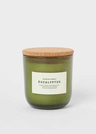 Ароматична свічка h&m home eucalyptus евкаліпт