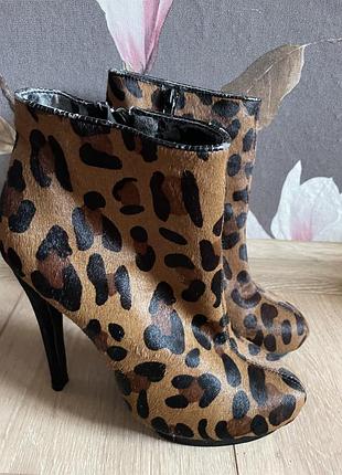 Черевики жіночі