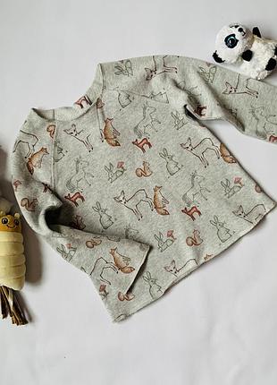 🌟 красивий світшот next дівчинці 3–4 роки