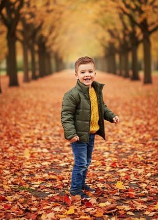 Демісезонна куртка для хлопчиків lupilu
