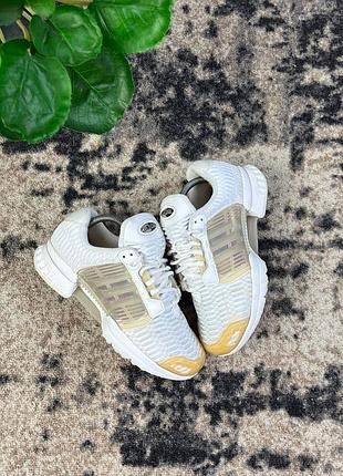 Кросівки adidas climacool 1