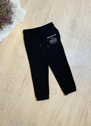 Дитячі теплі спортивні штани-джогери на флісі для хлопчика 98/104 см lupilu