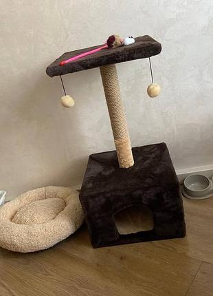 Для котика