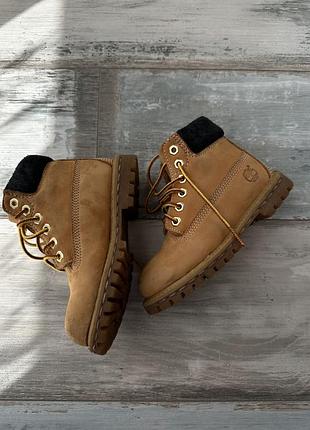 Дитячі чоботи timberland 5