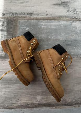 Дитячі чоботи timberland 4