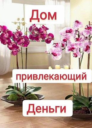 Тренинг дом привлекающий деньги