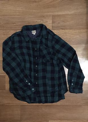 Сорочка в клітку