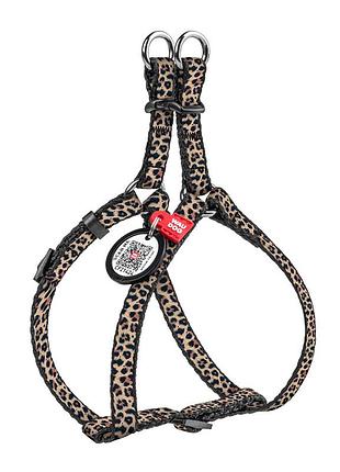 Шлея для котов и мелких пород собак waudog nylon с qr паспортом, рисунок "леопард", пластиковый фастекс, xs, ш 10 мм, a=b 30-40