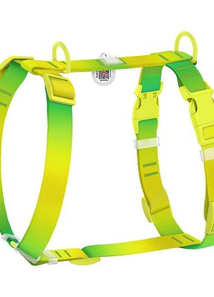 Шлея для собак анатомічна h-подібна waudog nylon recycled з qr-паспортом, градієнт, пластиковий фастекс, м, ш 20 мм, а 38-60 см, в