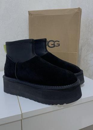 Ugg dipper boot mini угг  уггі угги tazz tasman