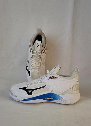 Спортивні чоловічі кросівки