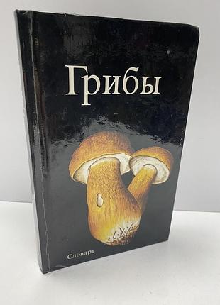 Аурел дермек грибы