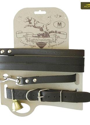 Нашийник з поводком для мисливських собак acropolis ско-2