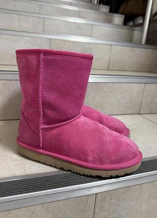 Ugg взуття