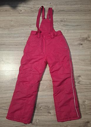 Лыжные брюки