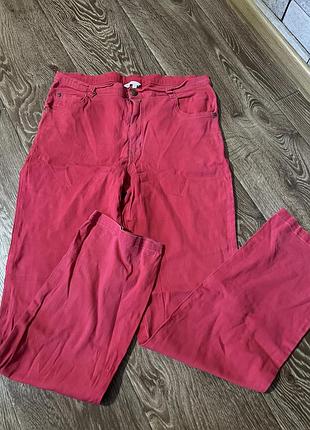 Штани жіночі