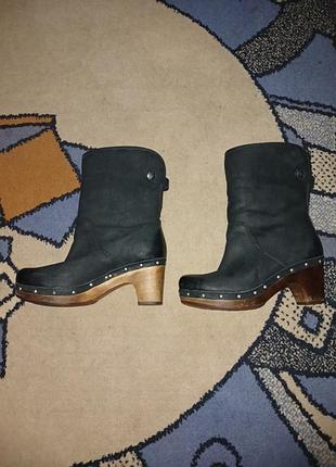 Сапоги женские ugg