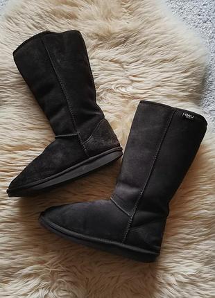Зимові уггі замша emu wool зимові замшеві жіночі чоботи уги