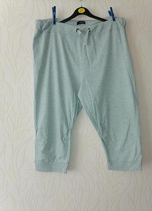 Бриджи батал 52-54-56р, бирка 20р спорт