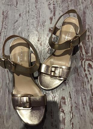 Розкішні золоті босоніжки carvela