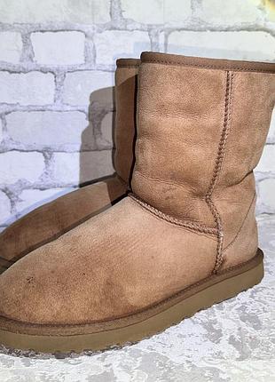 Ugg угги жіночі оригінал