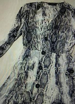 Плаття розміру м