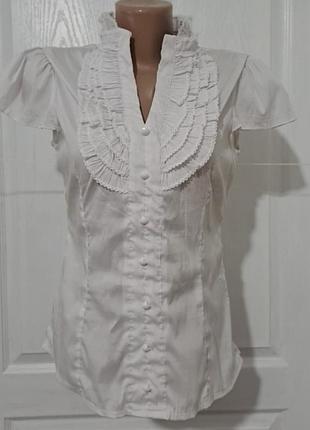 Kuvasz.  белая блуза с рюшами.