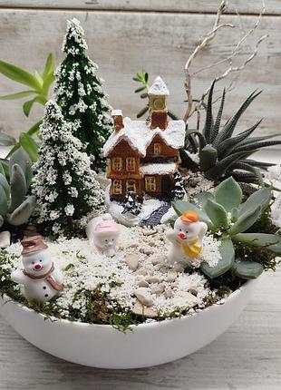 Композиція новорічна із кактусів та сукулентів .