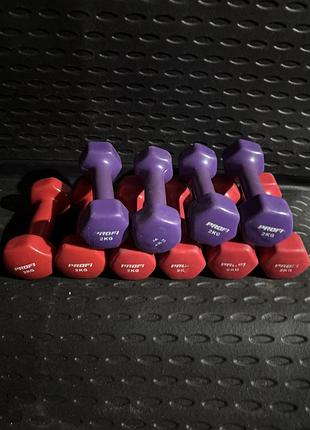 Гантелі по 2 кг