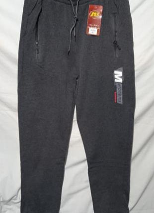 Спортивные штаны, новые,теплые,48-52