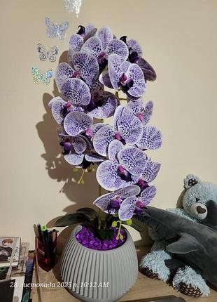 Орхідея штучна