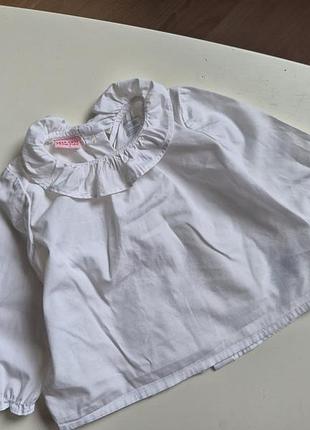 Rl блуза оригинал