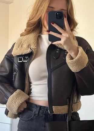 Дублянка зимова