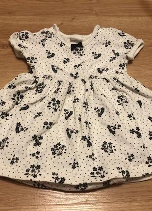 Бодік-плаття