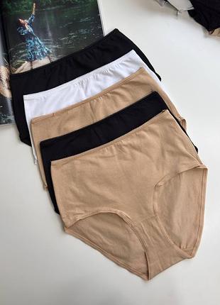 422 комплект набір жіночих бавовняних трусиків максі 5 шт