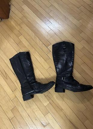 Сапоги чоботи hogl