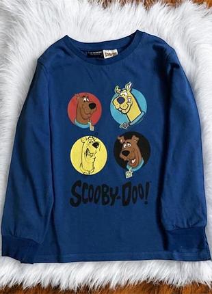 Лонгслів/реглан/кофта