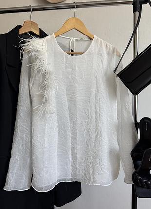 Блуза з пірʼям