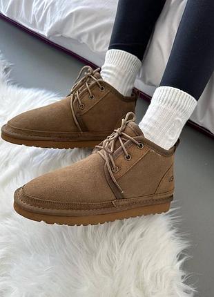 Розпродаж натуральні уггі унісекс ugg naumel  khaki