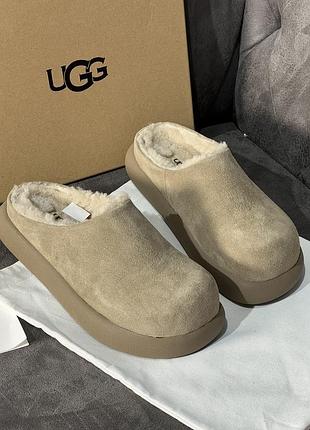 Ugg slippers бежев замша