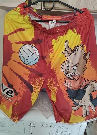 Чоловічі спортивні шорти