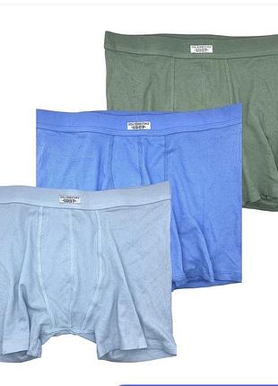 Набір дитячих трусів