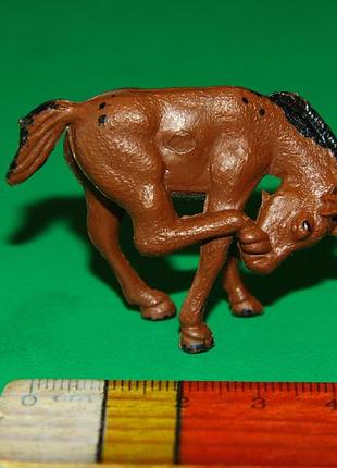 Лошадка жеребенка животного животное китай