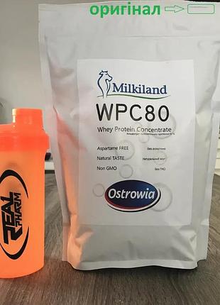 Протеин wpc 80 milkiland ostrowia без вкуса 1kg.+шейкер!