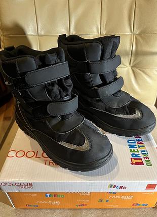 Чоботи зимові