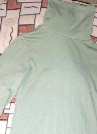 Лонг, водолазка з високим горлом